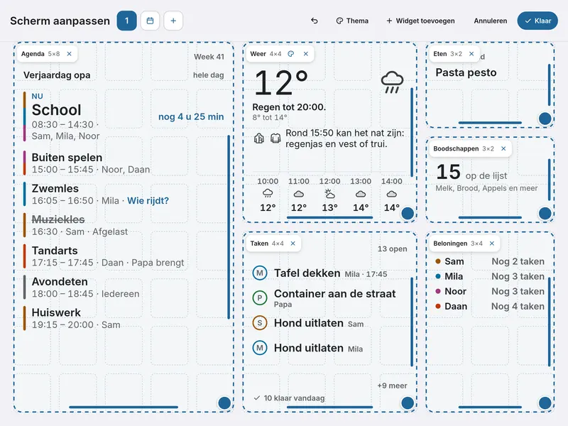 The grid for moving widgets and making them bigger or smaller, on the board itself